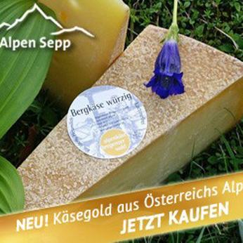 Käse Guschein vom Alpensepp